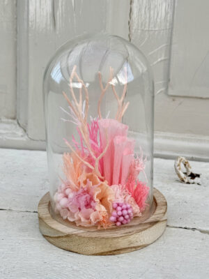 Koralrev i kuppel (lille) lyserødt, fersken