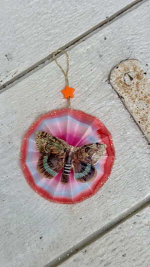 Rosette rød, pink, blå