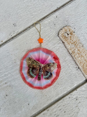 Rosette rød, pink, blå