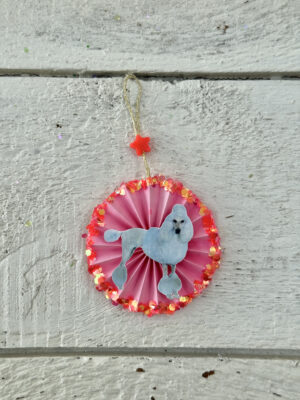 Rosette Puddelhund/ Kat